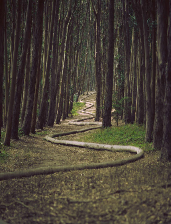 Winding bend in wood